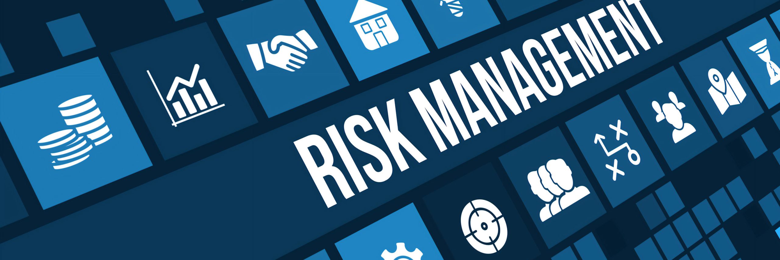 risk-management2